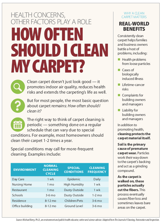 Carpet Cleaning Frequency Infographic